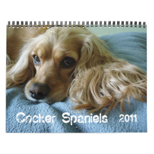 Cocker spaniel 2012 Kalender