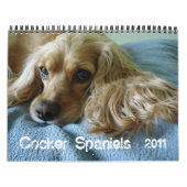 Cocker spaniel 2012 Kalender (Titelbild)