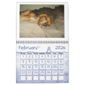 Cocker spaniel 2012 Kalender (Feb 2026)