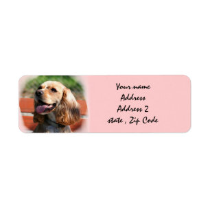 Cocker spaniel-Adressen-Etiketten