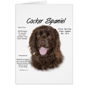 Cocker Spaniel (brn) History Design