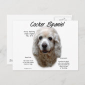 Cocker Spaniel (buff) History Design Postkarte (Vorne/Hinten)