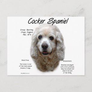 Cocker Spaniel (buff) History Design Postkarte