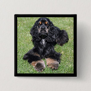 Cocker Spaniel Button