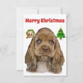 Cocker spaniel Christmas Cards (Vorderseite)