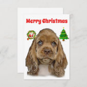 Cocker spaniel Christmas Cards (Vorne/Hinten)