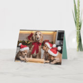 Cocker Spaniel Christmas Cookie Card Karte (Vorderseite)