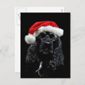 Cocker Spaniel Christmas Feiertagspostkarte (Vorne/Hinten)