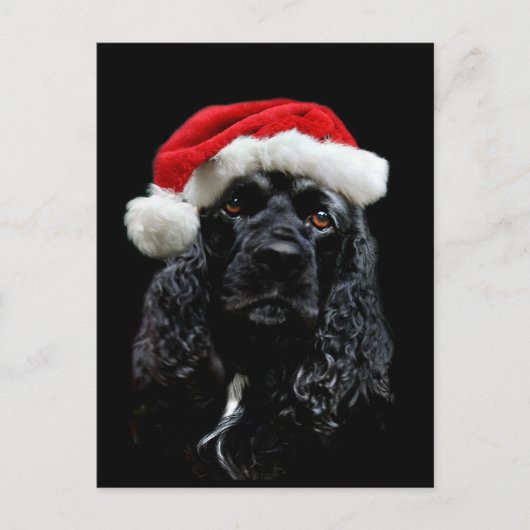 Cocker Spaniel Christmas Feiertagspostkarte (Vorderseite)