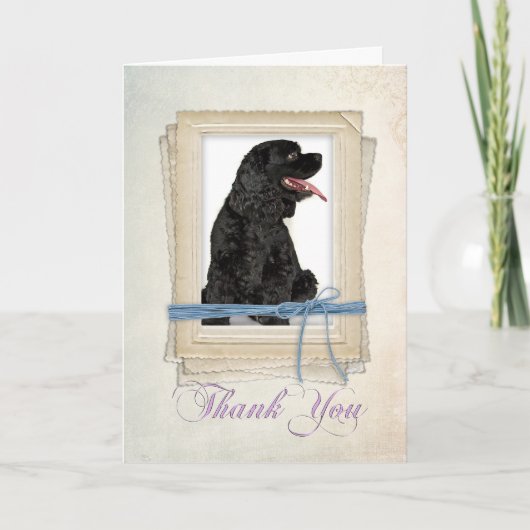 Cocker Spaniel Danke-Card Dankeskarte (Vorderseite)