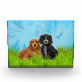 Cocker spaniel-Duo Fotoblock (Vorderseite)