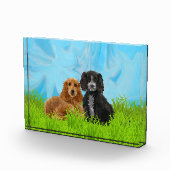 Cocker spaniel-Duo Fotoblock (Rechts)