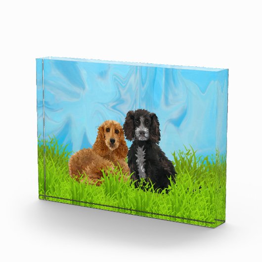 Cocker spaniel-Duo Fotoblock (Rechts)