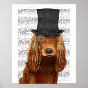 Cocker Spaniel, Festhund und Hut Poster