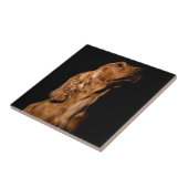 Cocker spaniel fliese (Seite)
