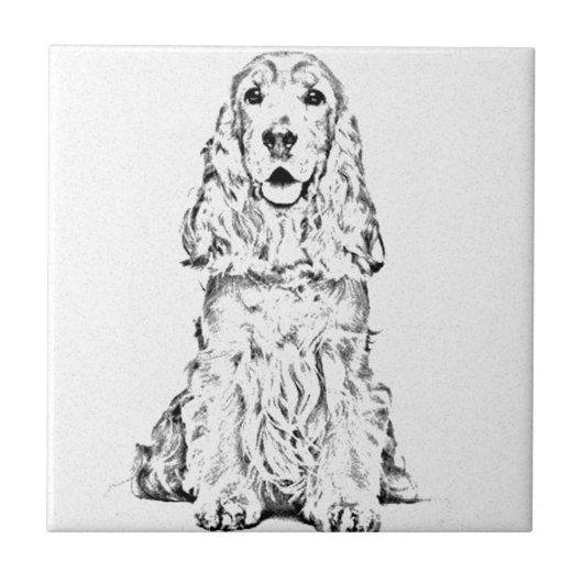 Cocker spaniel fliese (Vorderseite)