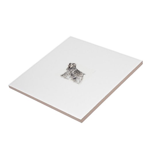 Cocker spaniel-Fliese Fliese (Seite)