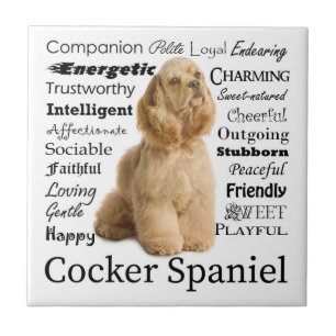 Cocker spaniel-Fliese Fliese
