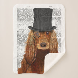Cocker Spaniel, formales Hund und Hut Sherpadecke