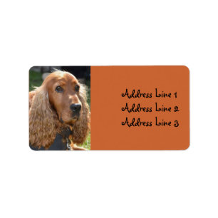 Cocker Spaniel Foto-Adressetikett Adressaufkleber
