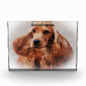 Cocker Spaniel. Fotoblock (Vorderseite)