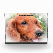 Cocker Spaniel. Fotoblock (Vorderseite)