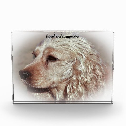 Cocker Spaniel. Fotoblock (Vorderseite)