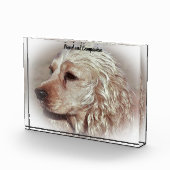 Cocker Spaniel. Fotoblock (Rechts)