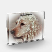 Cocker Spaniel. Fotoblock (Links)