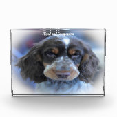 Cocker Spaniel. Fotoblock (Vorderseite)