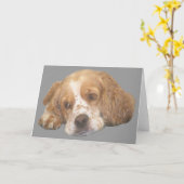 Cocker Spaniel Freckles Grußkarte Karte (Gelbe Blume)
