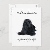 Cocker Spaniel Freundschaft Postkarte (Vorne/Hinten)
