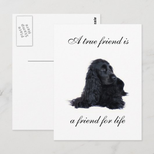 Cocker Spaniel Freundschaft Postkarte (Vorne/Hinten)