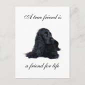 Cocker Spaniel Freundschaft Postkarte (Vorderseite)