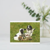 Cocker Spaniel Fun Postkarte (Stehend Vorderseite)