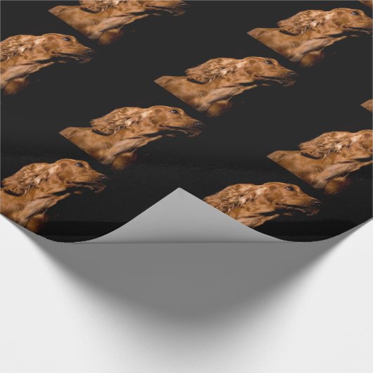 Cocker spaniel geschenkpapier (Ecke)