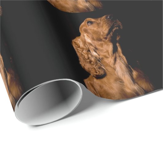 Cocker spaniel geschenkpapier (Rolleneckpunkt)
