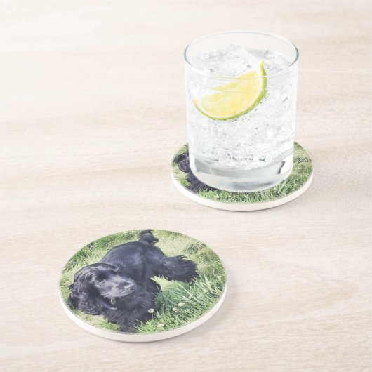 Cocker spaniel getränkeuntersetzer (Seite)