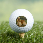 Cocker Spaniel Golfball (Insitu T-Shirt)