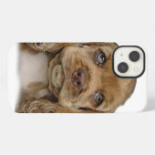 Cocker Spaniel Handyhüllen iPhone Hülle (Rückseite (Horizontal))