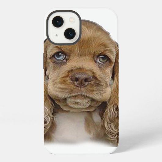 Cocker Spaniel Handyhüllen iPhone Hülle (Rückseite)