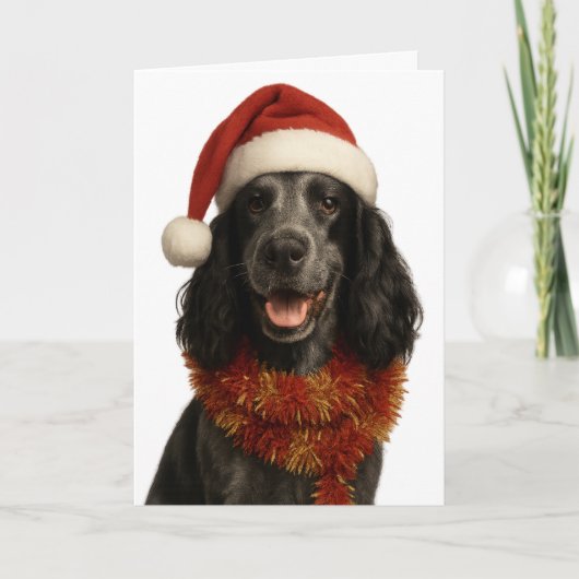 Cocker Spaniel Happy Christmas card Karte (Vorderseite)