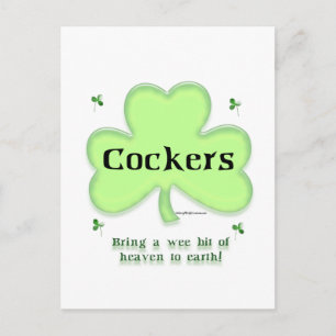 Cocker Spaniel Heaven; St. Patrick's Day Cocker Postkarte