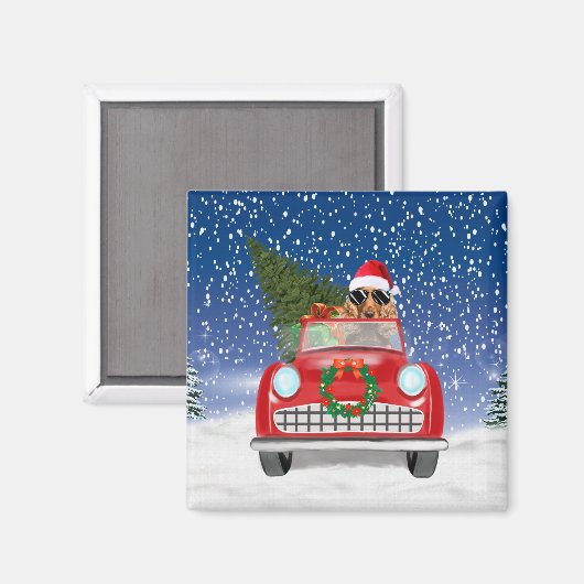 Cocker Spaniel Hund Autofahren Auto in Schnee Weih Magnet (Vorderseite/Rückseite)
