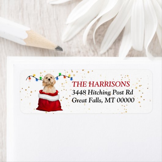 Cocker Spaniel Hund in der Geschenktüte Rücksendea (Insitu)