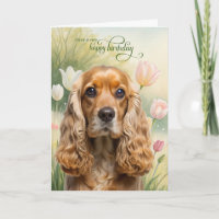 Cocker Spaniel Hund in einem Tulpen-Garten Geburts