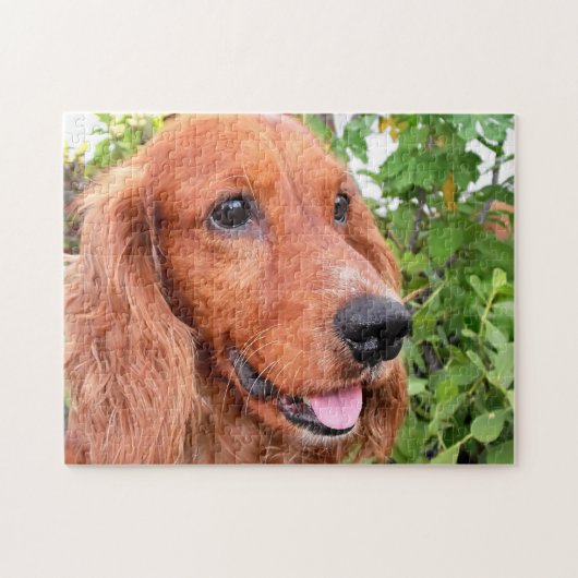 Cocker Spaniel Hund Puzzle (Horizontal)