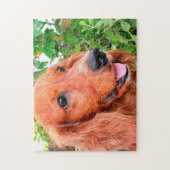 Cocker Spaniel Hund Puzzle (Vertikal)