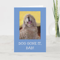 Cocker Spaniel Hund wurde zum Vater
