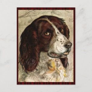 Cocker Spaniel-Hundedruck Postkarte